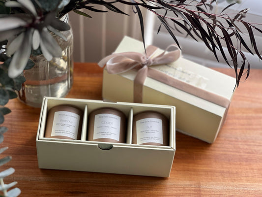 Leather Weather Trio 2.0